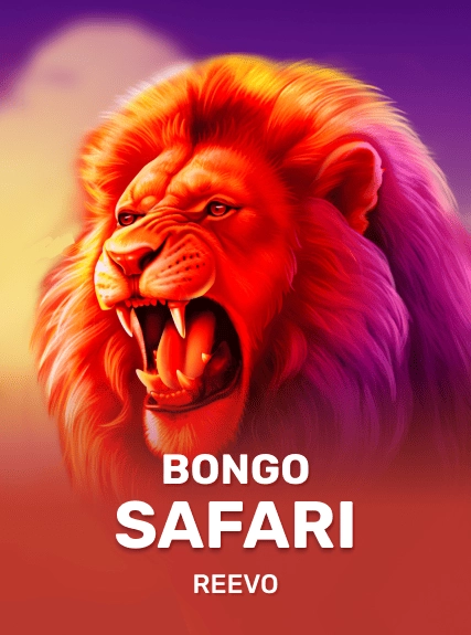 Bongo Safari